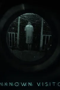 Незнакомый гость (фильм 2019)